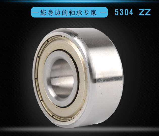 Double Row Angular Contact Ball Bearing 5304 ZZ