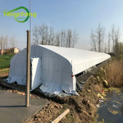 black white panda film mushroom greenhouse covering