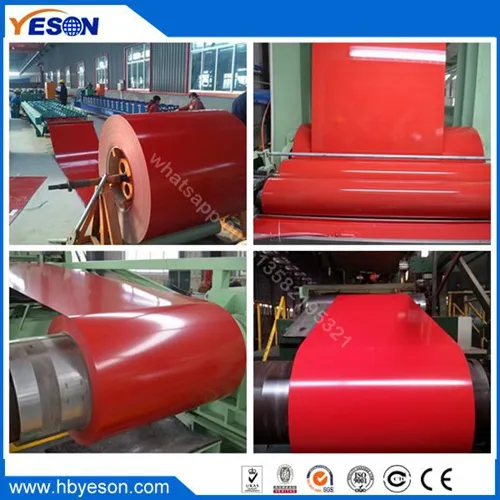 PPGI galvanised sheet and coil 