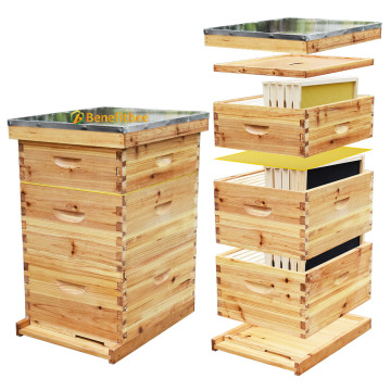 Factory Langstroth Bee Hive Kit: Complete Beekeeping Equipment and Wooden Hive Set