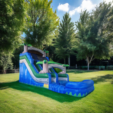 Commercial Blue Magic Small Marine Theme Inflatable Water Slide for Parks and Gardens