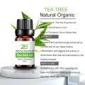 Tea Tree Essential Oil To Improve Hair