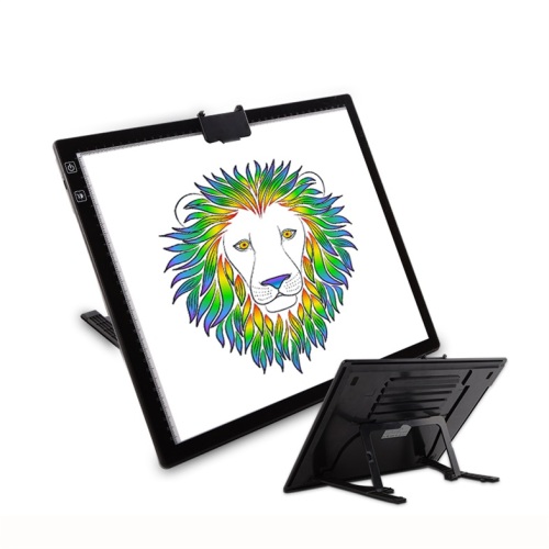 Base en acrylique Slim X-Ray Illuminated Dessin Led Pad