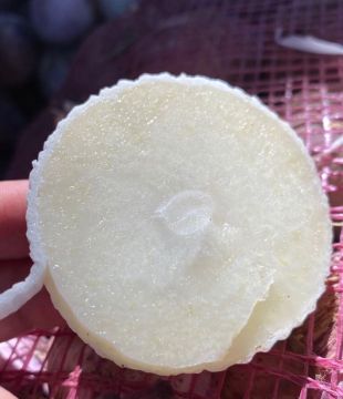 Pickling Special Single-clove Garlic