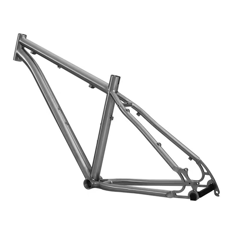 Titour Titanium MTB Frame