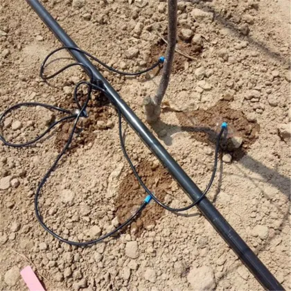 Single Arrow and Double Arrow