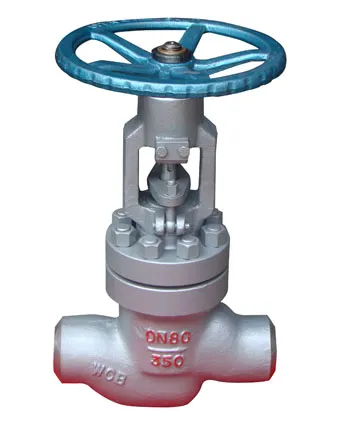 the power palnt Globe valve