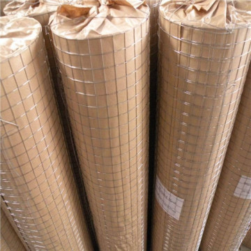 Hot dipped galvanized welded wire mesh net