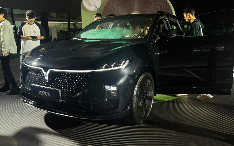 voyah zy