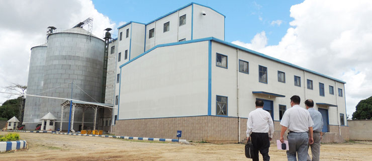 Ethiopia 500T wheat flour mill machine for Pasta Bread Flour
