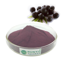 Acai Fruit Powder frozen acai berry powder