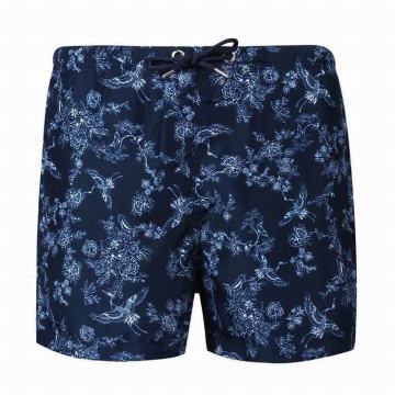 Polyester mens shorts swimwear blue men's sexy swimwear