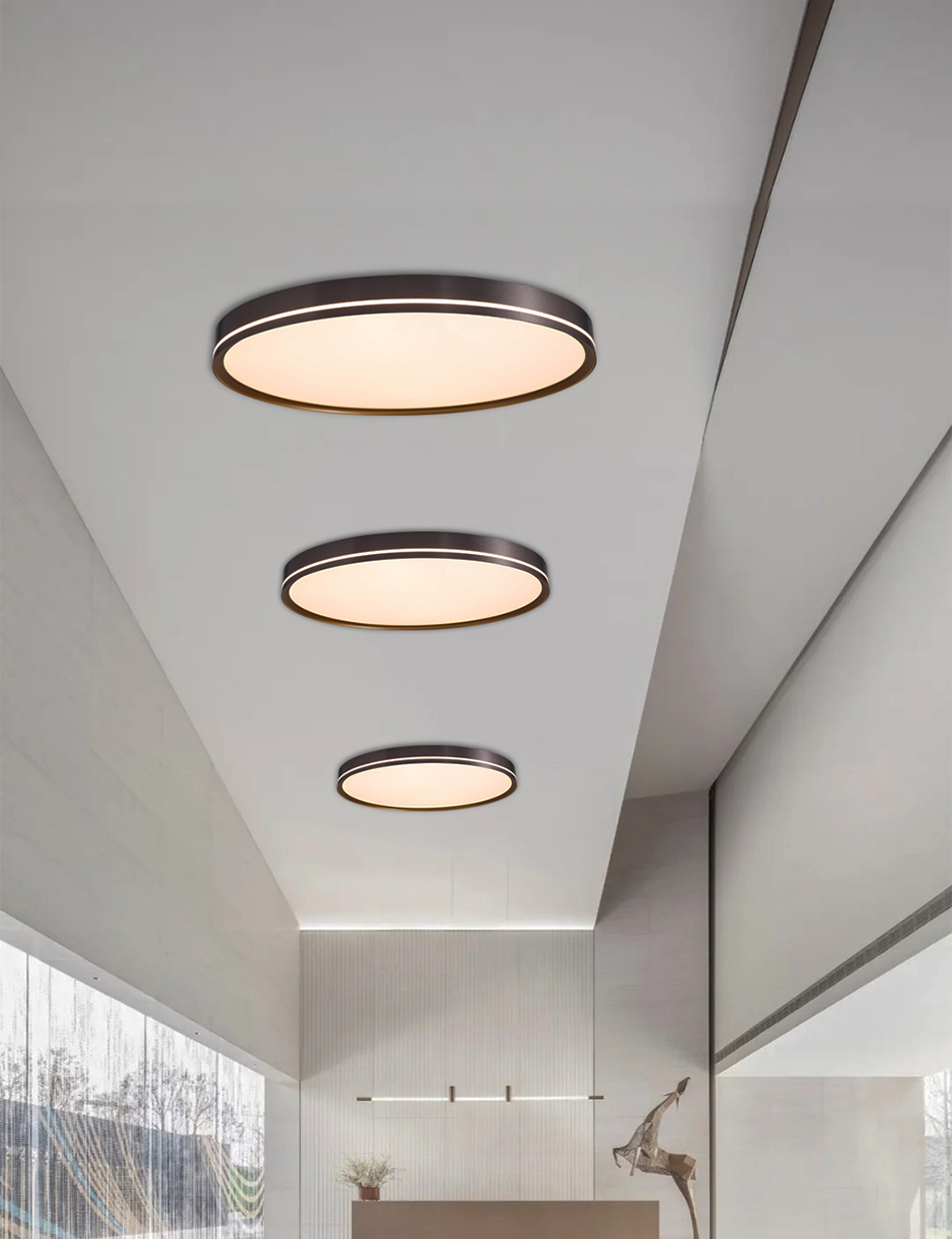 Ceiling Light 0527