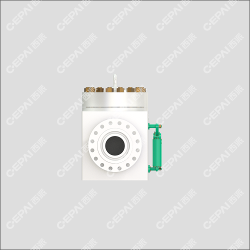 Swing check valve