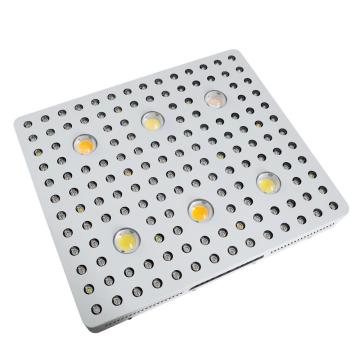 Bloombeast 600W COB LED Tumbuh Cahaya