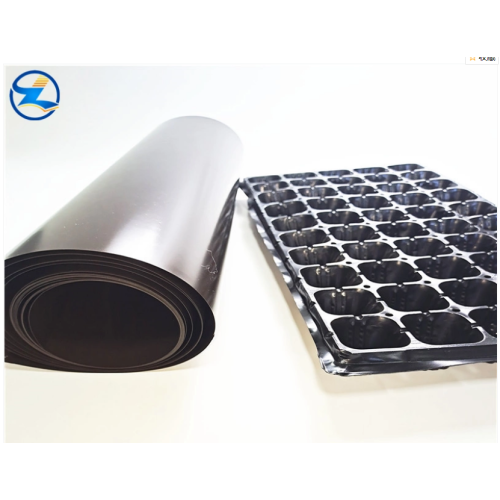 White glossy pp rigid Plastic film sheets