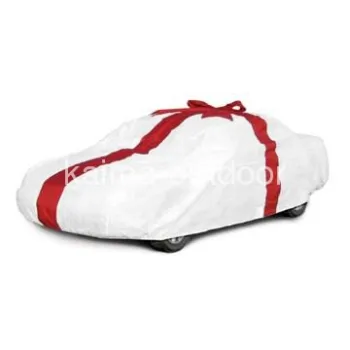 Gift car cover