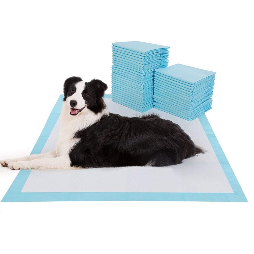 Pet Diaper Pet Urinal Pad2