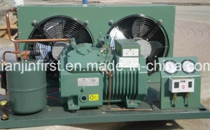 Bitzer Compressor Condensing Unit Cold Room