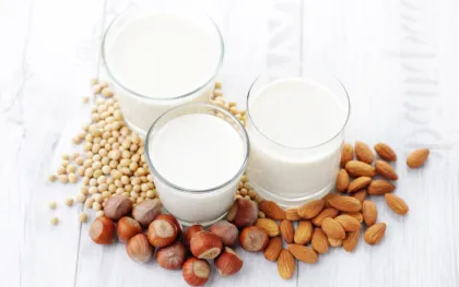 Industrial Almond Nut Coconut Milk Grinding Machine | Tiger Nuts Milk Making Equipment