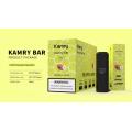 교체 가능한 포드 Kamry Bar 7000puffs 도매