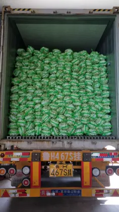 WEST AFRICA MARKET GARLIC