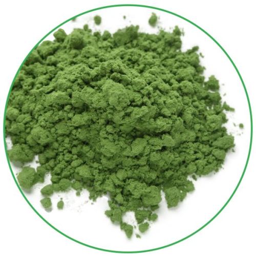 Competitive price water soluble organic barley grass powder