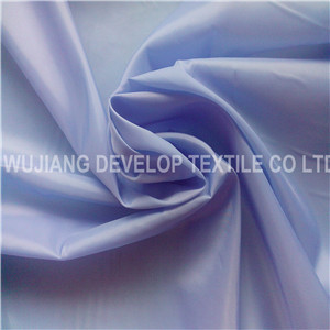 Water Resistance Polyester Light Fabric for Down Jacket Fabric (DT2056)