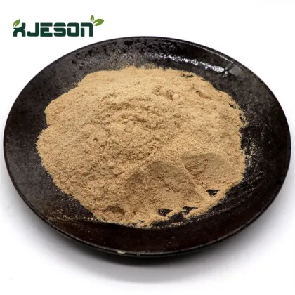 King oyster mushroom Pleurotus Eryngii Extract Powder