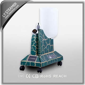 LT-4 Dark green high quality compectitive price CE/CB certification OEM steam iron upright garment seamer