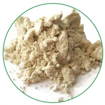 High quality organic hemp protein powder for health