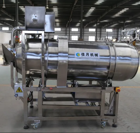 Automatic Flavoring Machine for Nimko/Namkeen/Bugles/Puffed Food