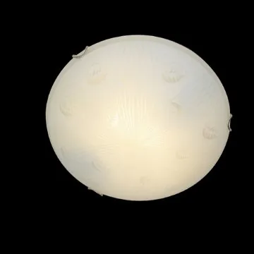 China cheap fluorescent ceiling lights