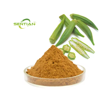 Okra Extract Powder Okra Extract