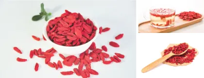 buy Goji Berry from Goji Berry plant