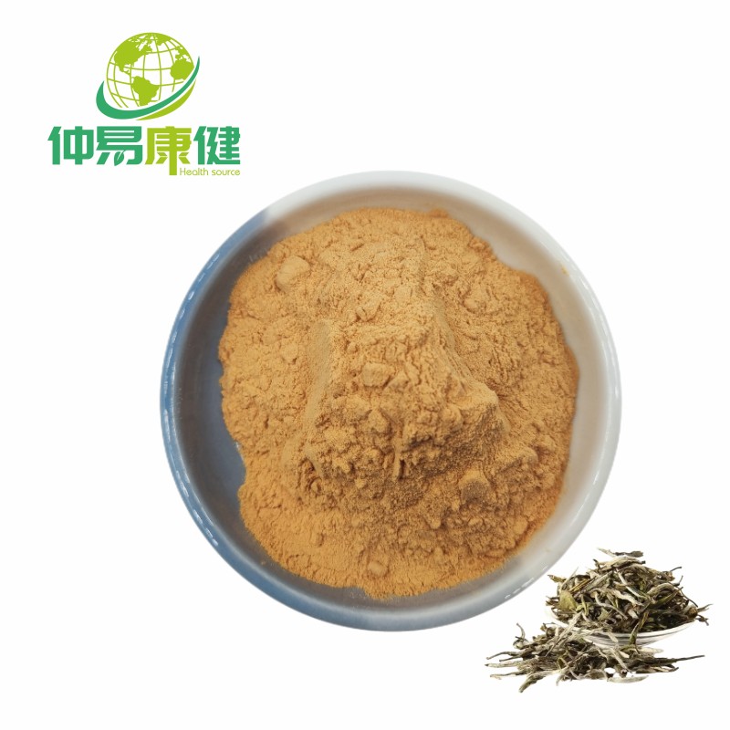 Instant White Tea Powder White Tea Extract Powder