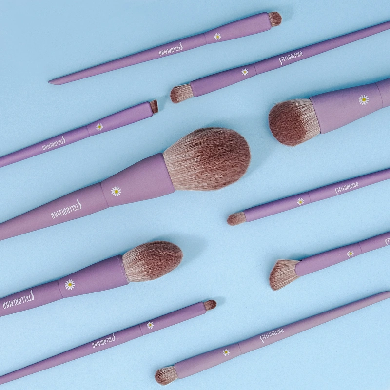 Pennelli trucco professionali - Professional Make Up Kit 6 Brushes