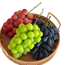 Fresh Shine Muscat forFresh Fruit Markets