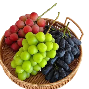 Fresh Shine Muscat forFresh Fruit Markets