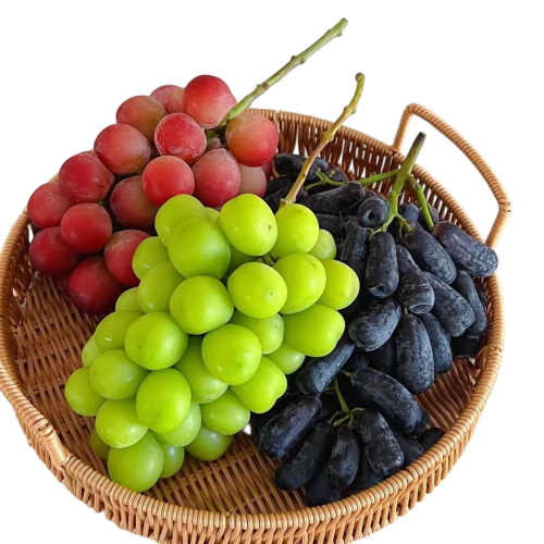 مسقط براق تازه برای بازارهای میوه تازه