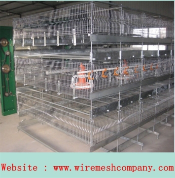A type Chicken cage, 4 tiers Chicken layer hen cage hold 160 chickens