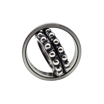 Double Row 20x47x18 mm 2204 ETN9 Self-Aligning Ball Bearing