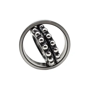 Double Row 20x47x18 mm 2204 ETN9 Self-Aligning Ball Bearing