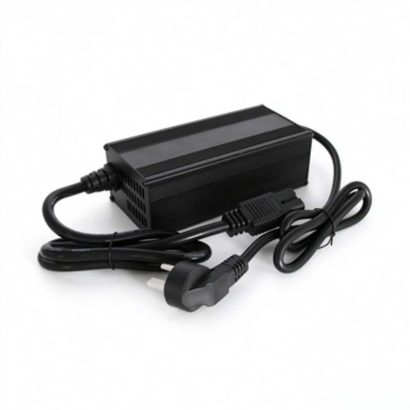 Three wheel electric vehicle battery charger 15A