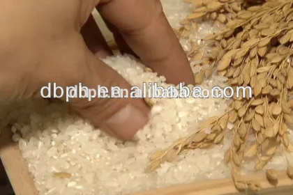 grain flour mill
