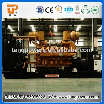 50HZ 3 phase 300kw Shangchai engine generator for sale