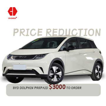 In Stock 2024 BYD Dolphin: 5 Seats, 401-420km Range, Affordable New Energy EV Car