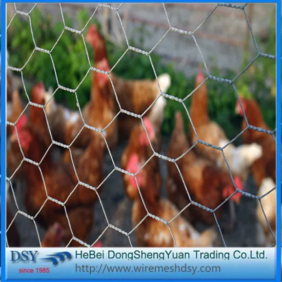 Galvanized Hexagonal Wire Mesh