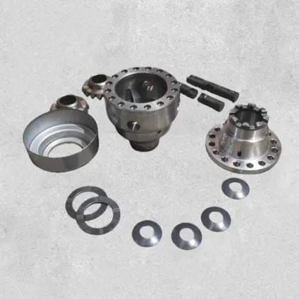 Hande HDZ300 Differential Carrier DZ90149320006