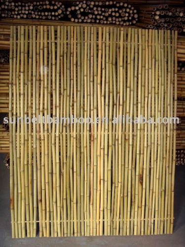 Bamboo fence Sun-003